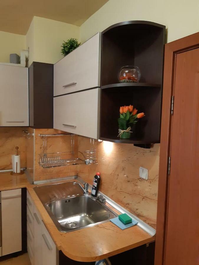 Studio Biju Apartment Varna Bagian luar foto